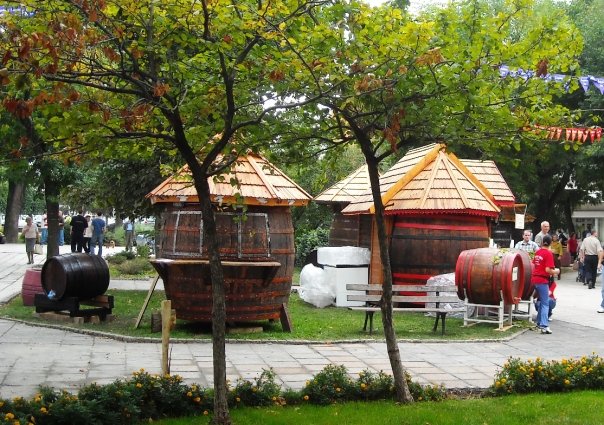Smederevo's vineyards